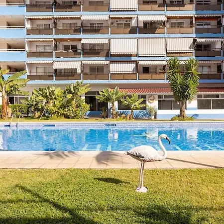 Appartamento Comodo Estudio Playa Jardin